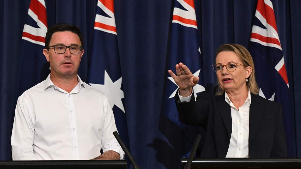 Image for read more article 'පසුගිය පුවත්'