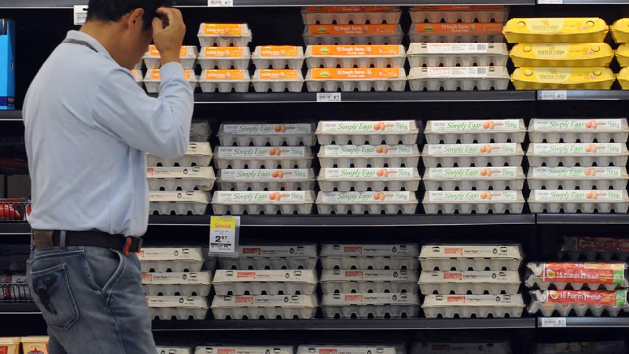 A man in front of the eggs section at a supermarket
