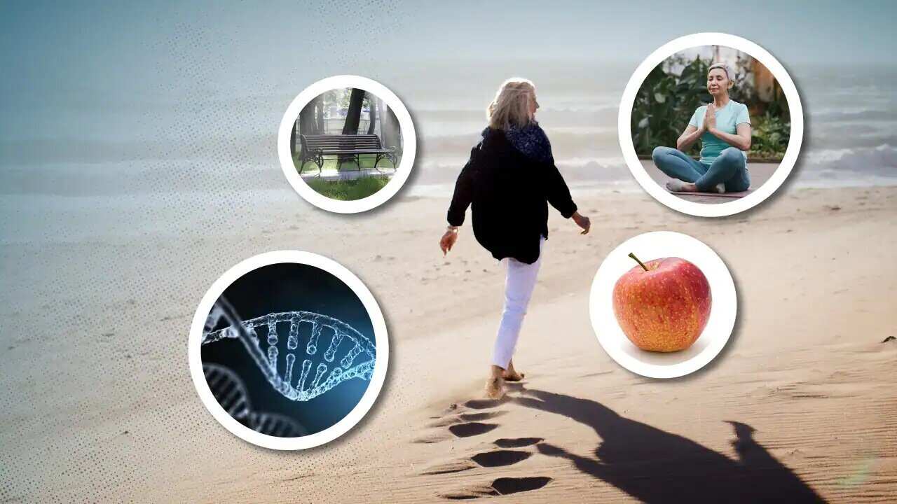 Factors including genetics, environment, exercise and diet can all contribute to how long we live.