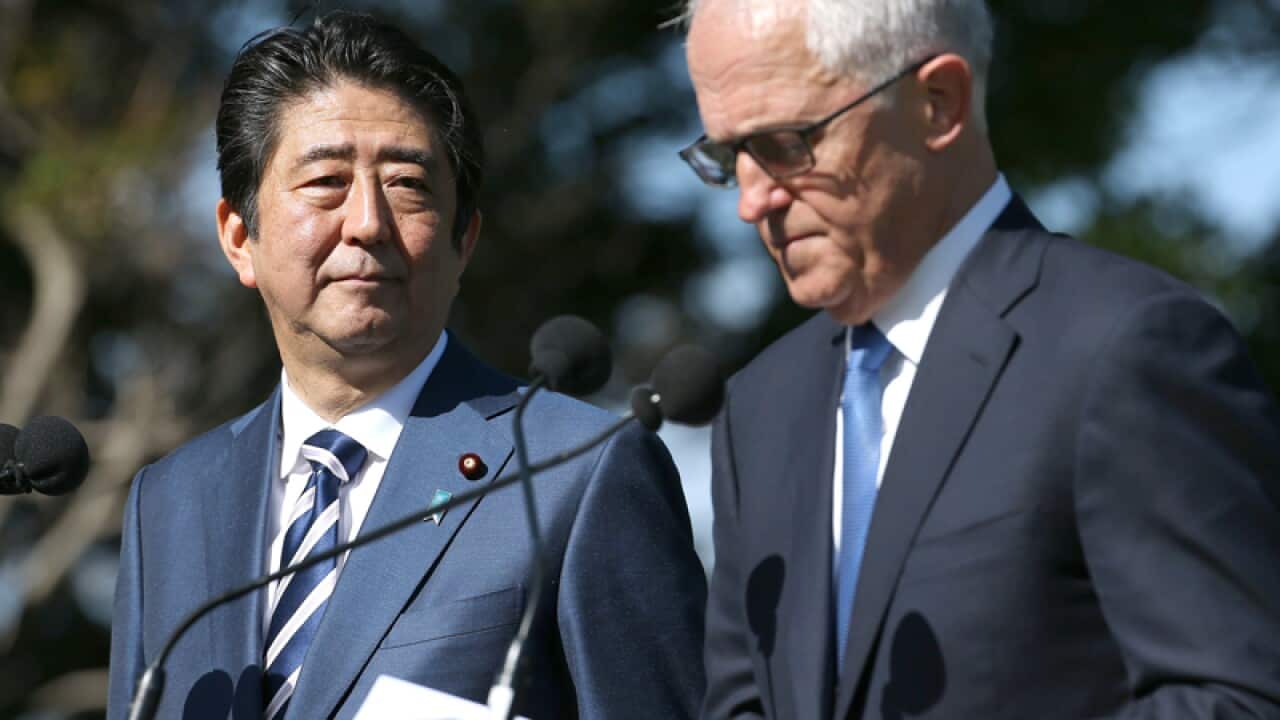 Japan's PM Shinzo Abe (left) looks and Australia's PM Malcolm Turnbull