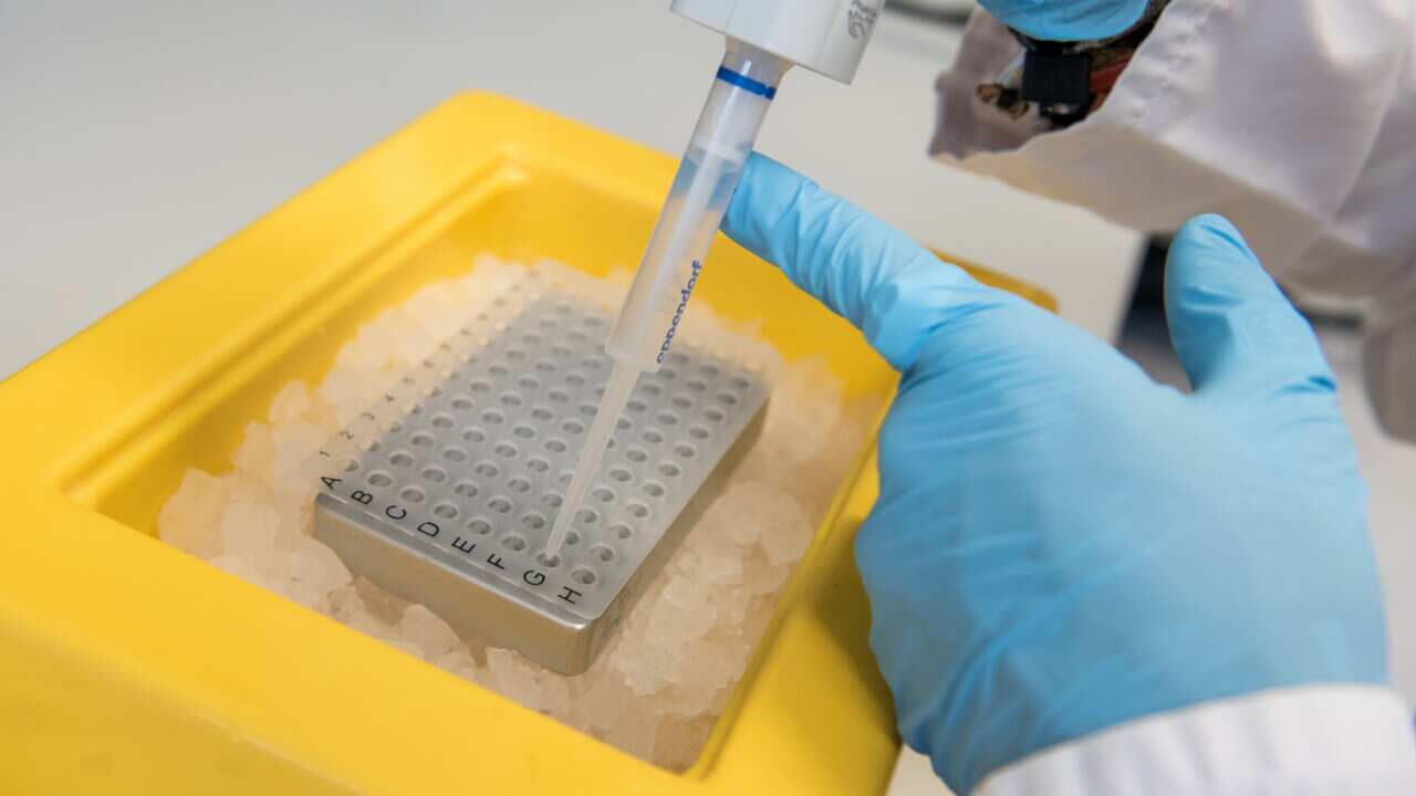 A lab assistant puts DNA on a storage plate in a molecular biological research laboratory