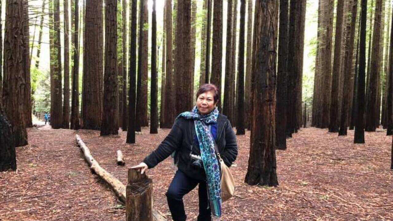 'we can never embrace joy without sorrow' says Stargzaer