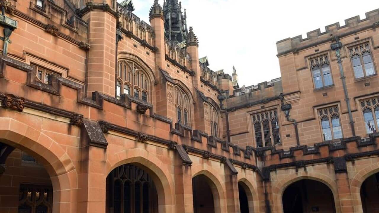 Cheats who take exams or write essays on behalf of university students could be jailed for two years.