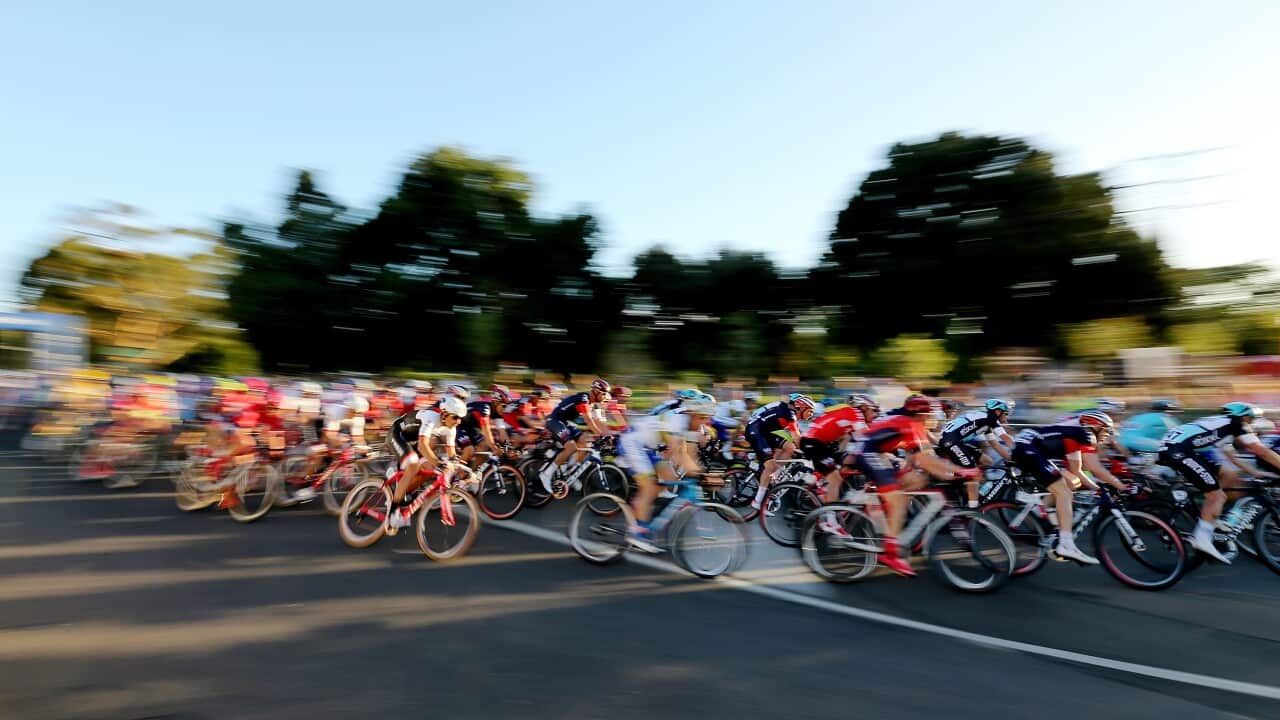 Cycling Central, SBS