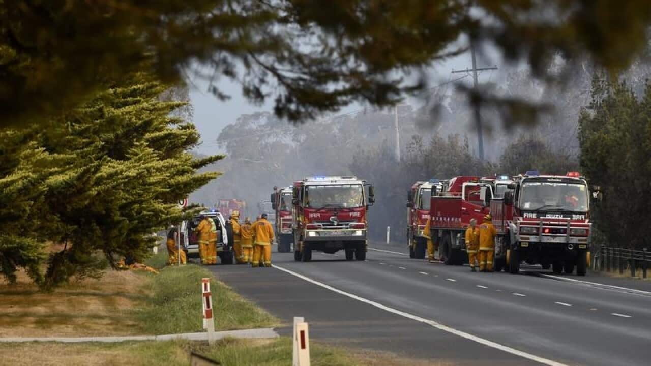 CFA officers and their fire trucks.