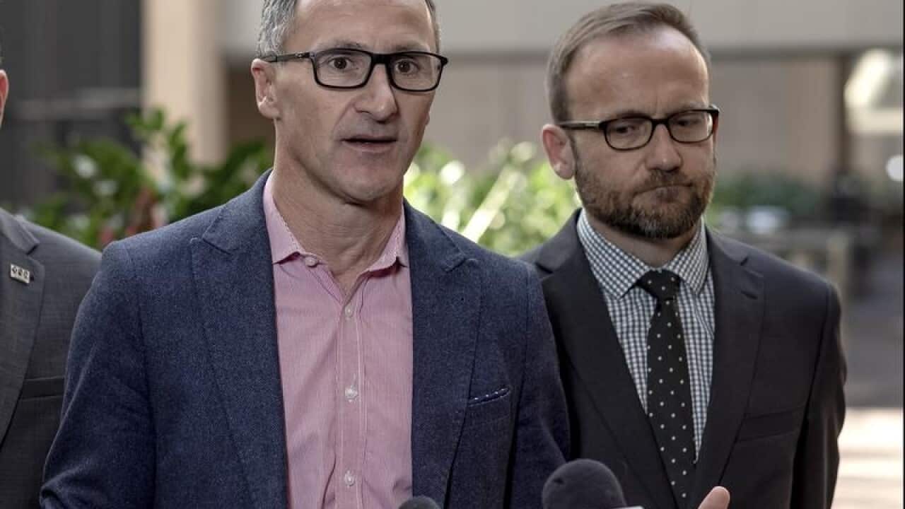 Richard Di Natale and Adam Bandt