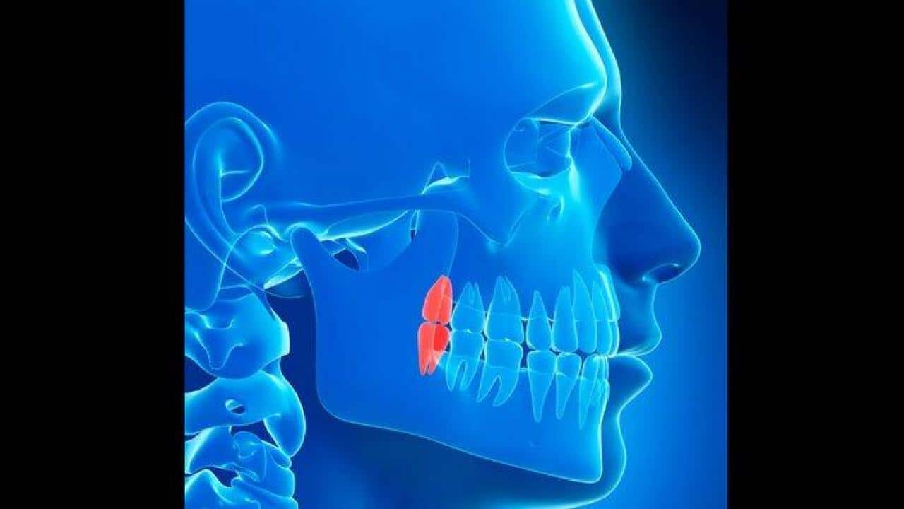 Image for read more article 'READ MORE'