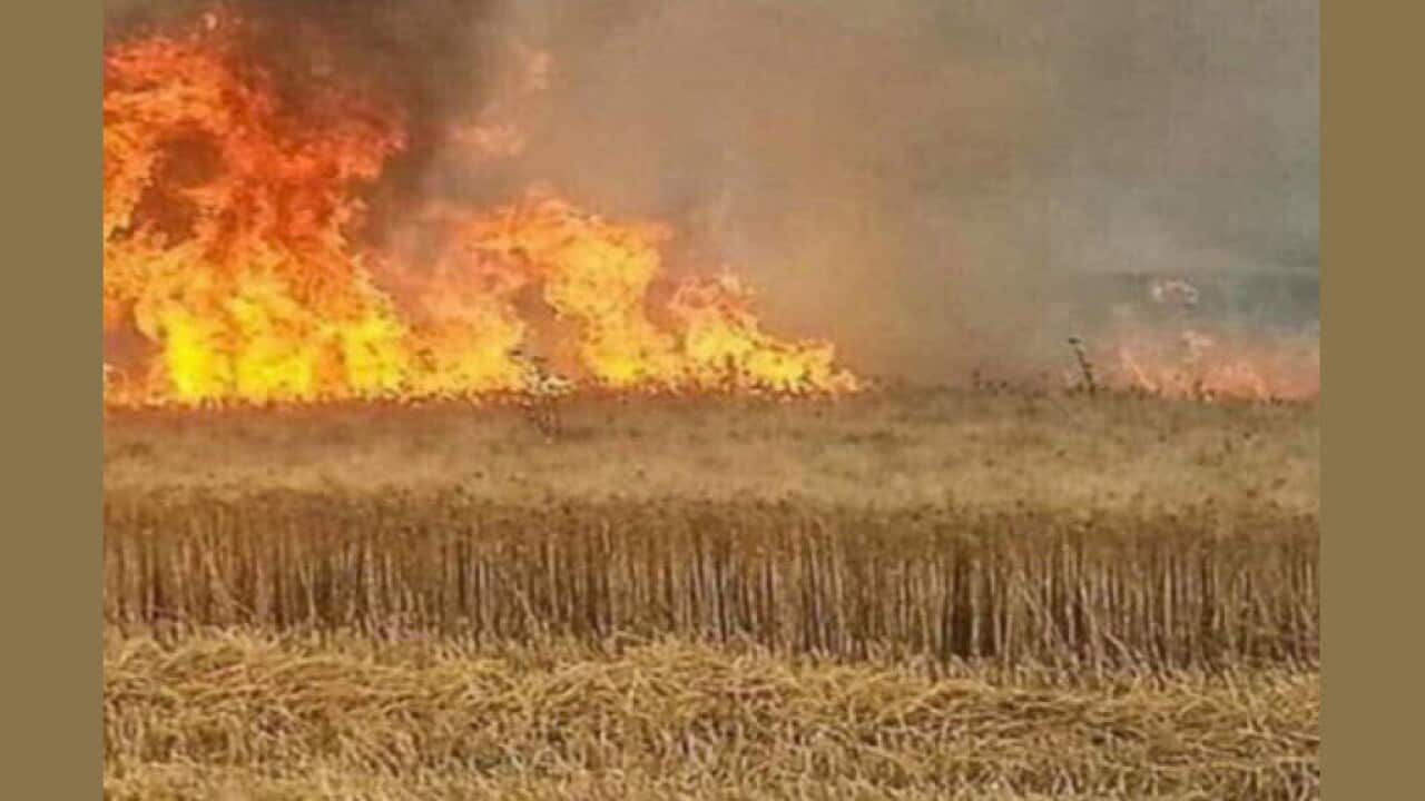 Kurdish farmlands set alight