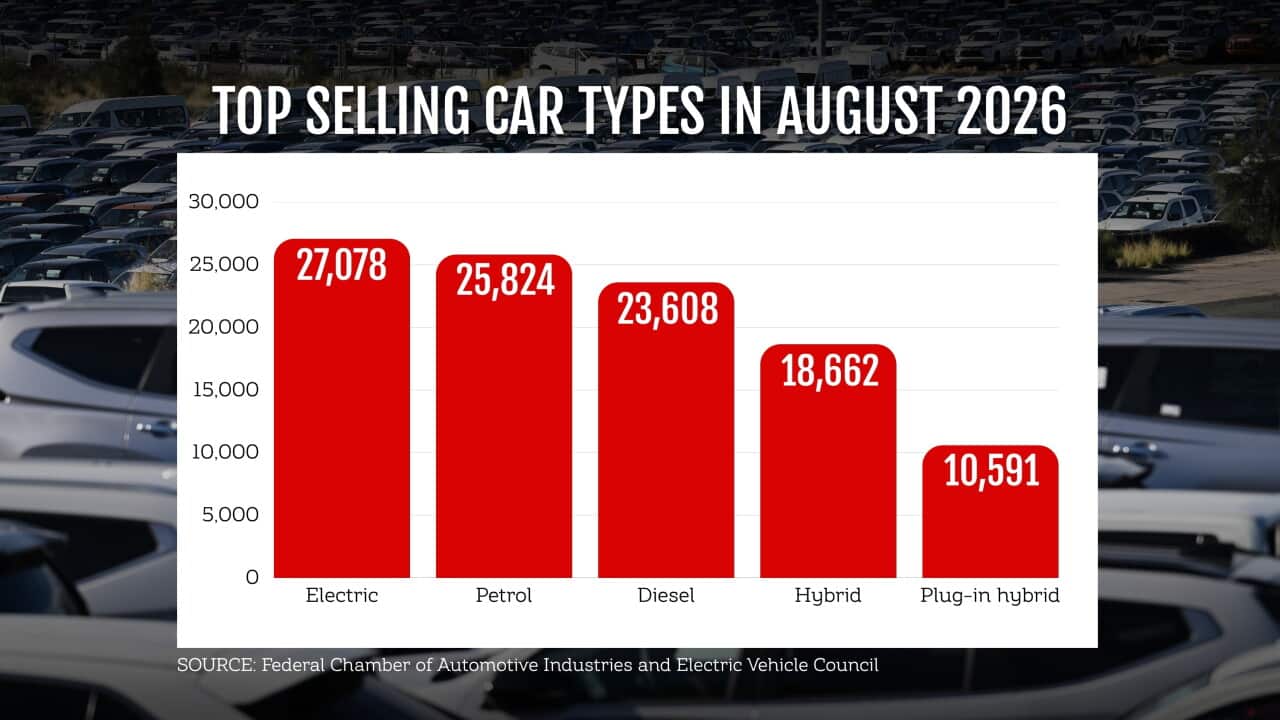 CAR SALES GRAPHIC