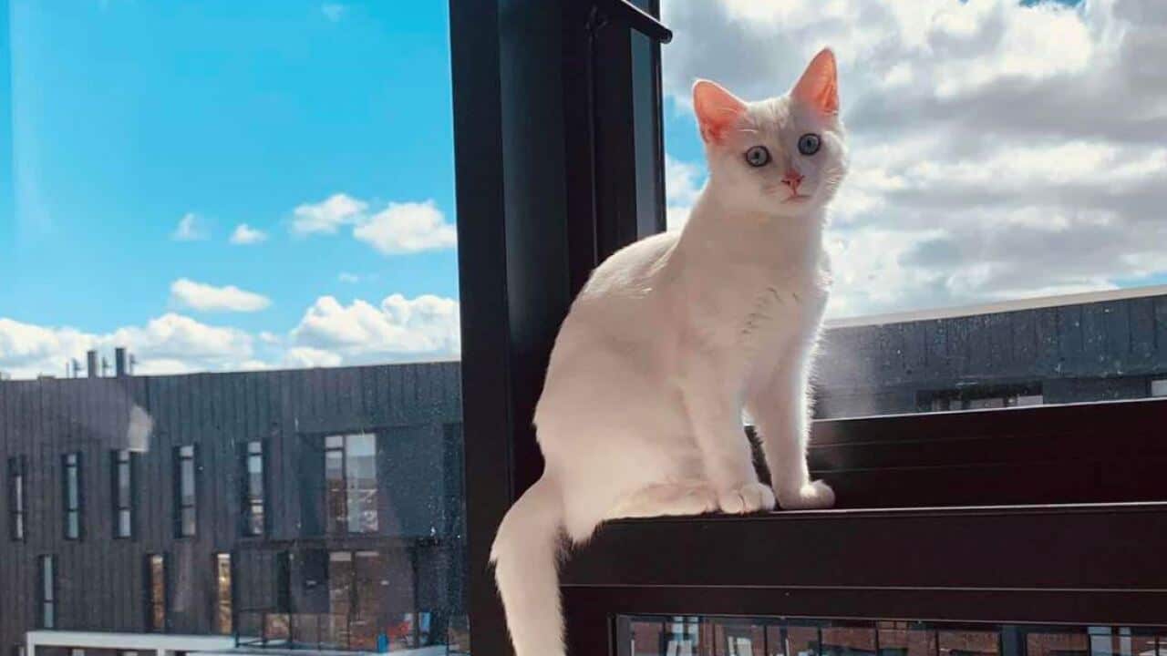 Image for read more article '阅读更多'