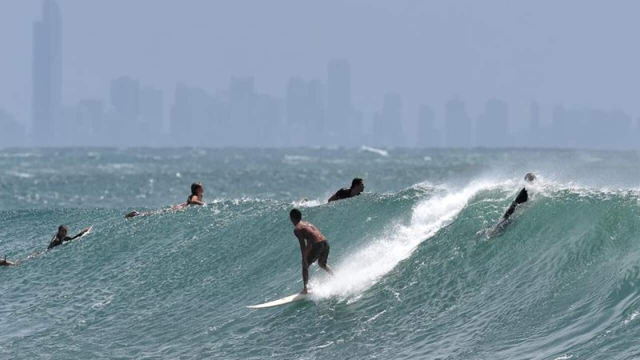 surfers on the gold coast