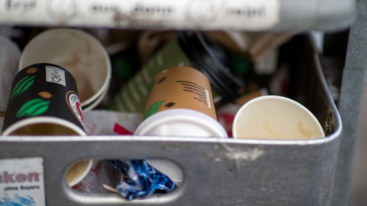 Disposable coffee cups in rubbish bins