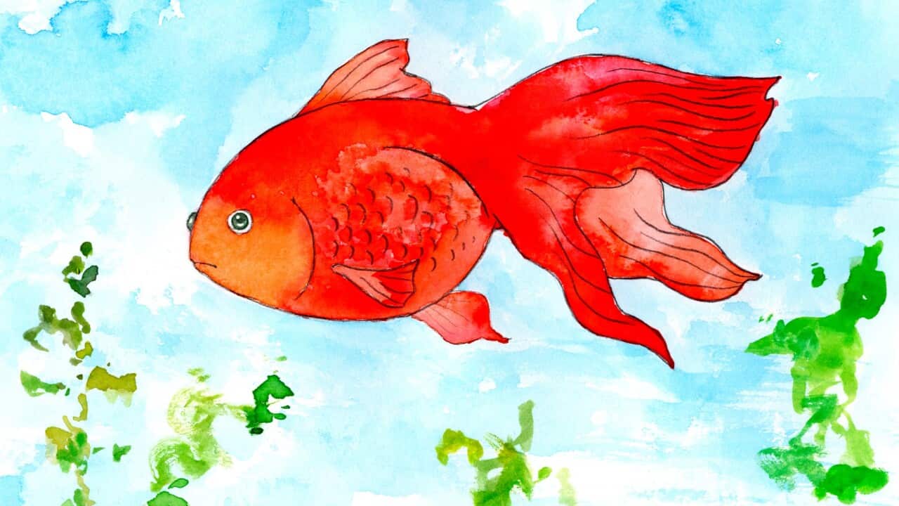 Image for read more article 'READ MORE'