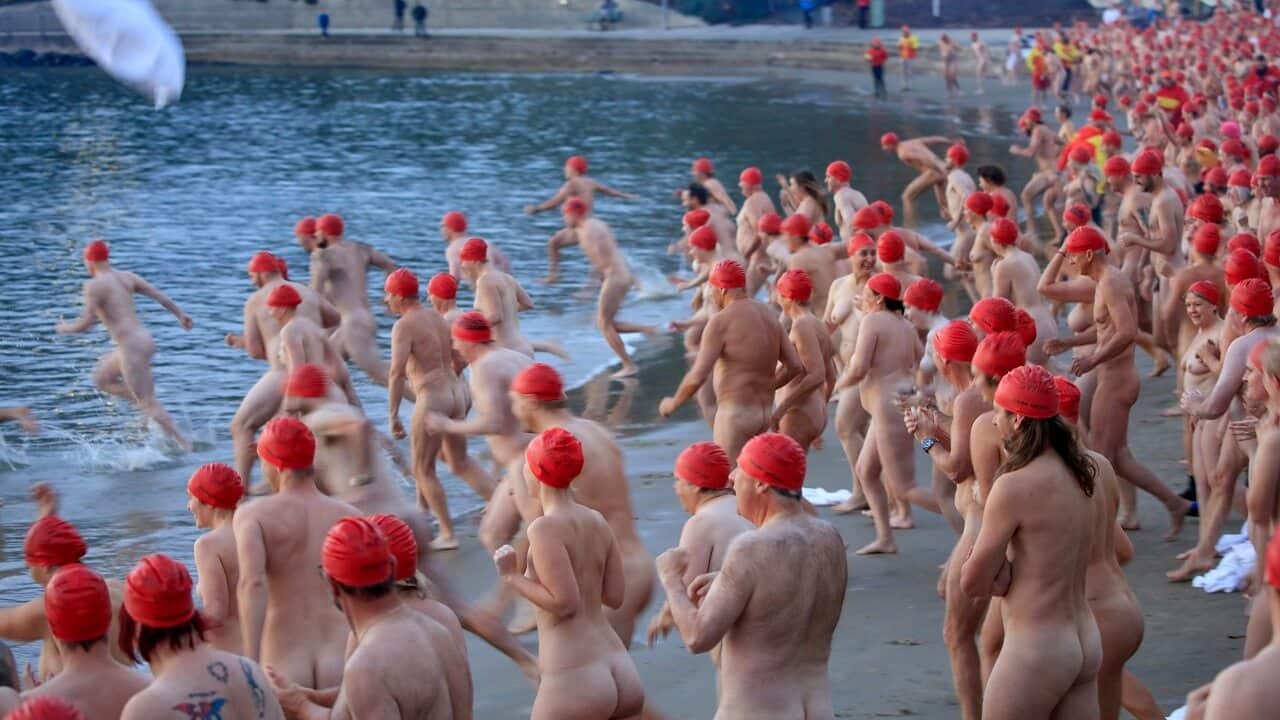 dark mofo