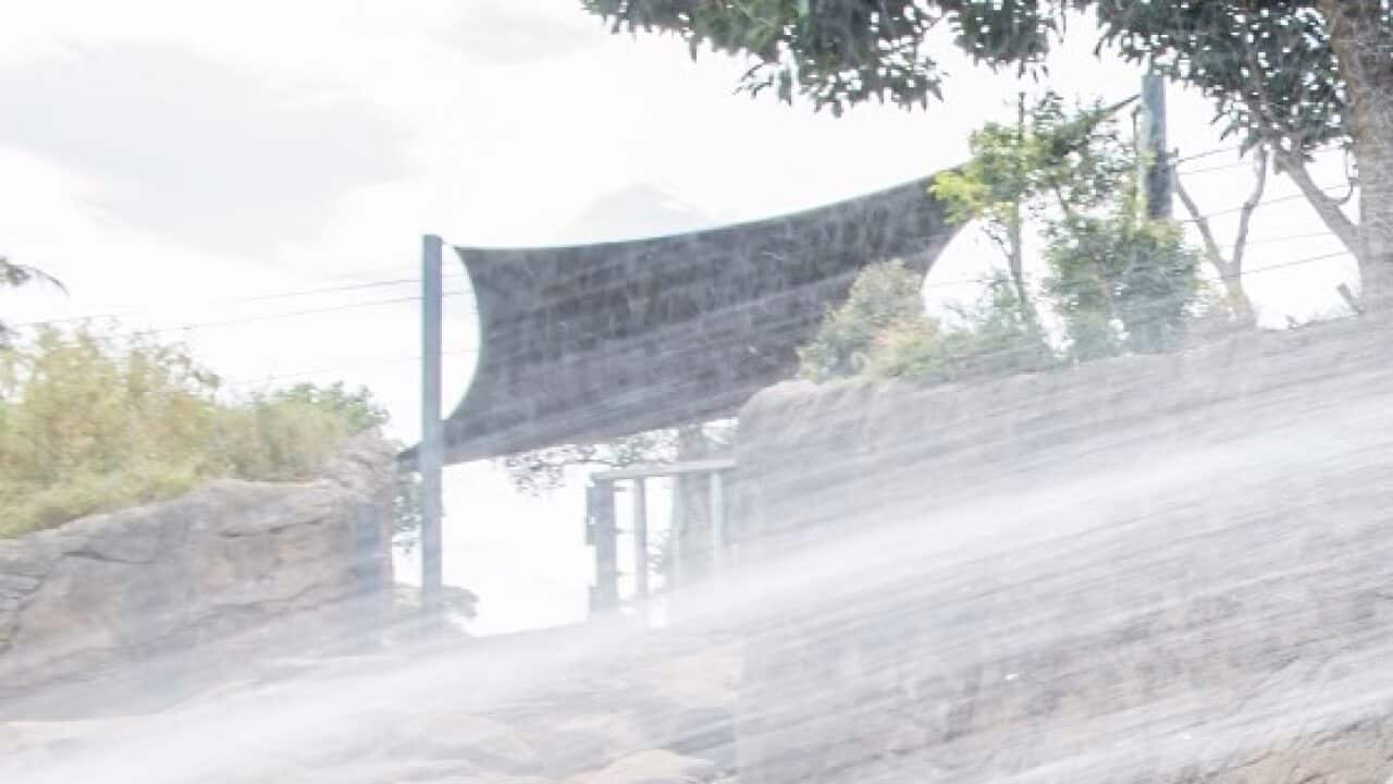 Tukta cools down in a 2016 heatwave.