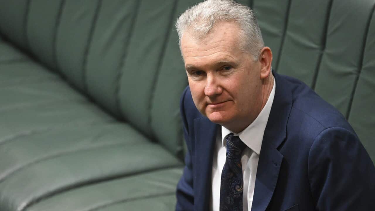 TONY BURKE FAMILY VIOLENCE LEAVE BILL