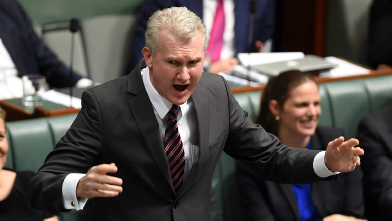 The manager of Opposition business Tony Burke