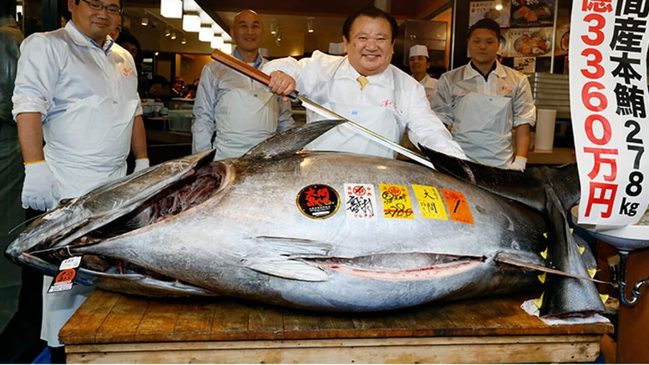 The most expensive Tuna fish sold in Japan
