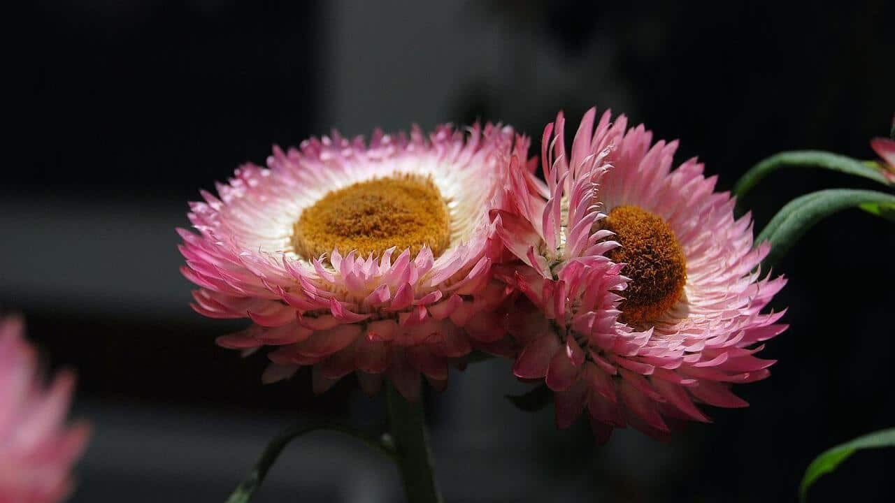 Image for read more article 'READ MORE'