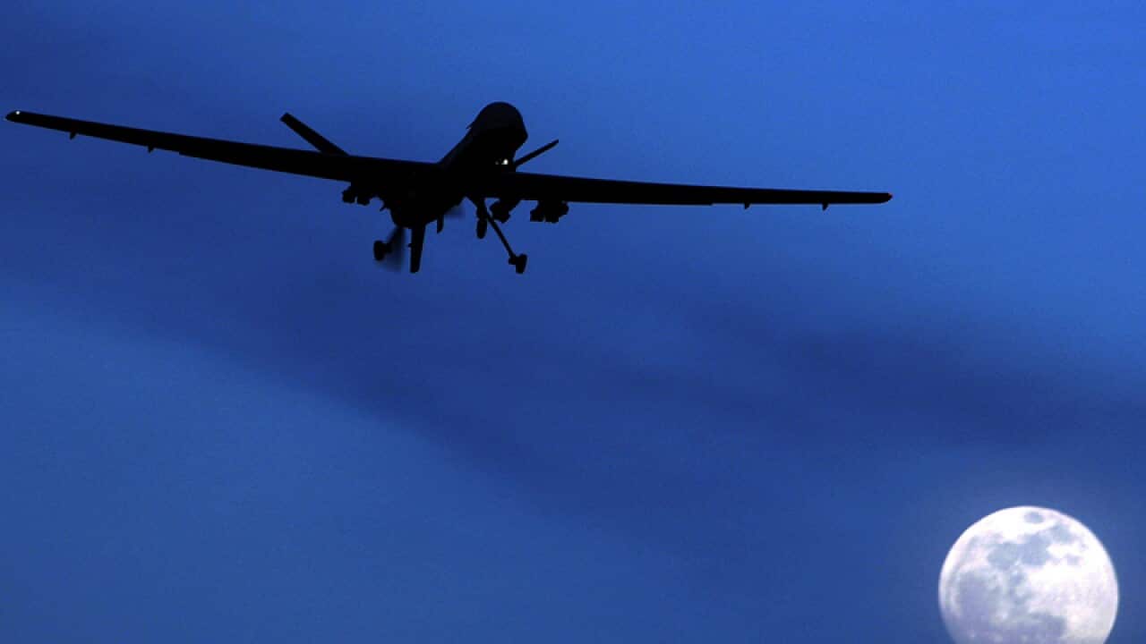 unmanned U.S. Predator drone flies
