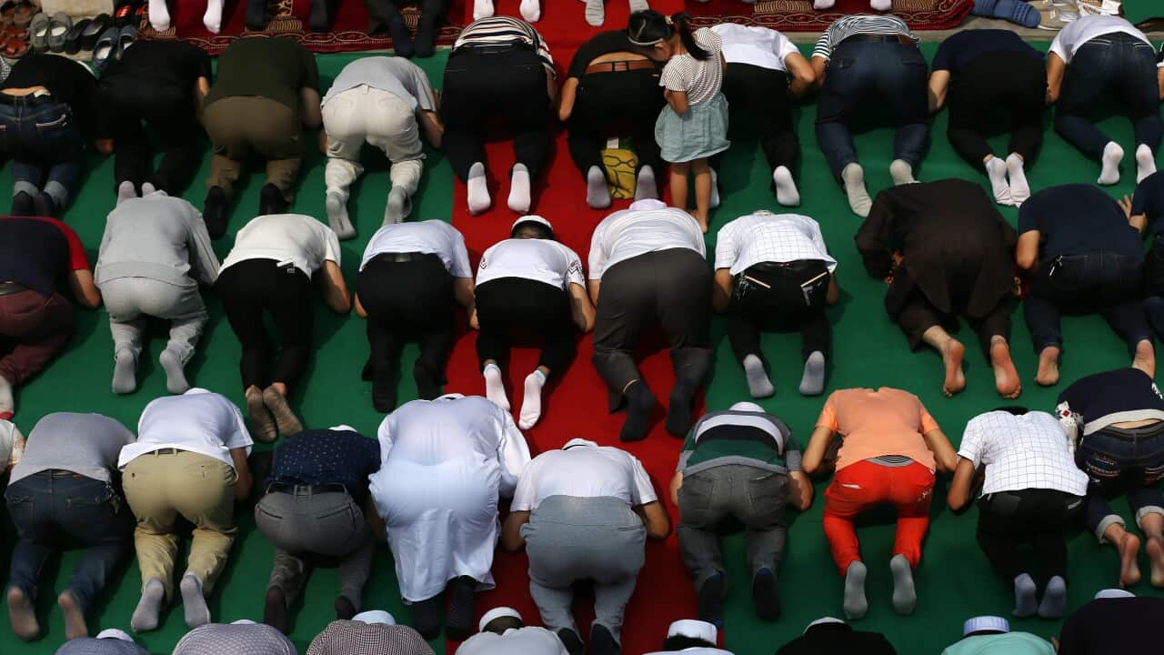 Muslim, praying, prayer