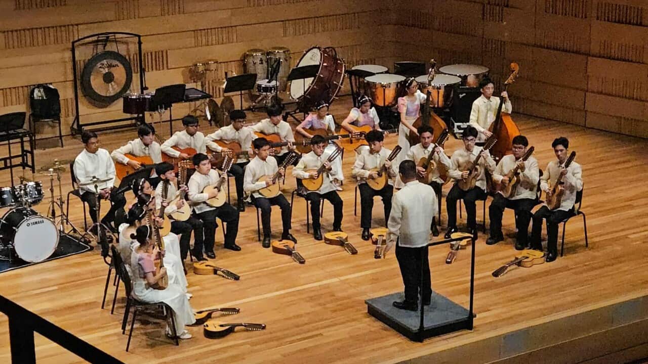 The Rondalla is a traditional Filipino ensemble featuring a distinctive blend of string instruments, including the banduria, octavina, laud, guitar, string bass, and percussion.