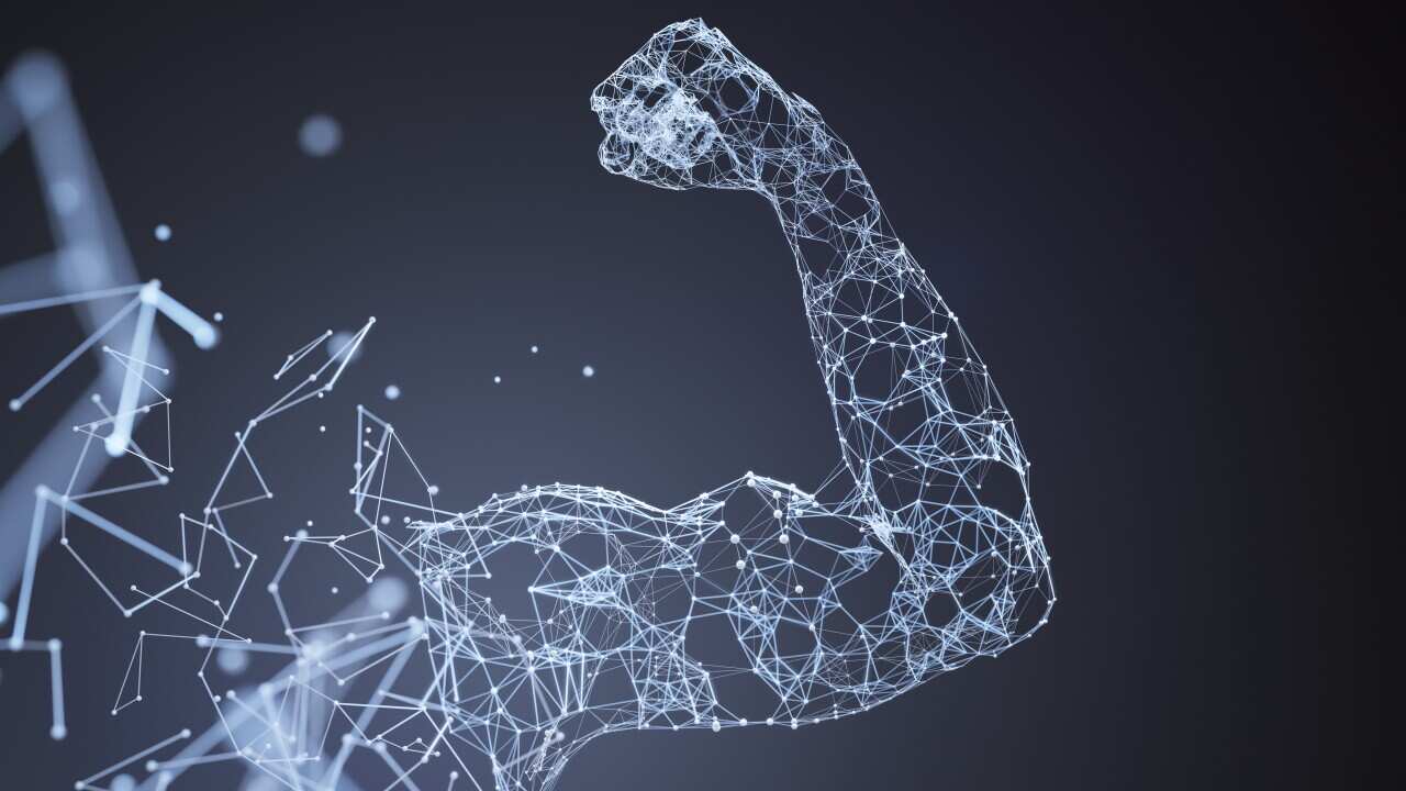 Muscle network landscape blue