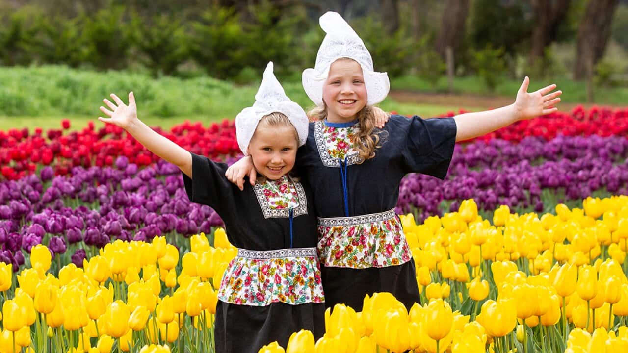 Tesselaar Tulip Festival 2023