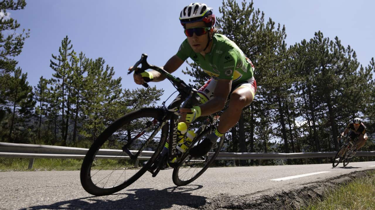 Tour de France 2015 Stage 16, Peter Sagan, Tinkoff-Saxo