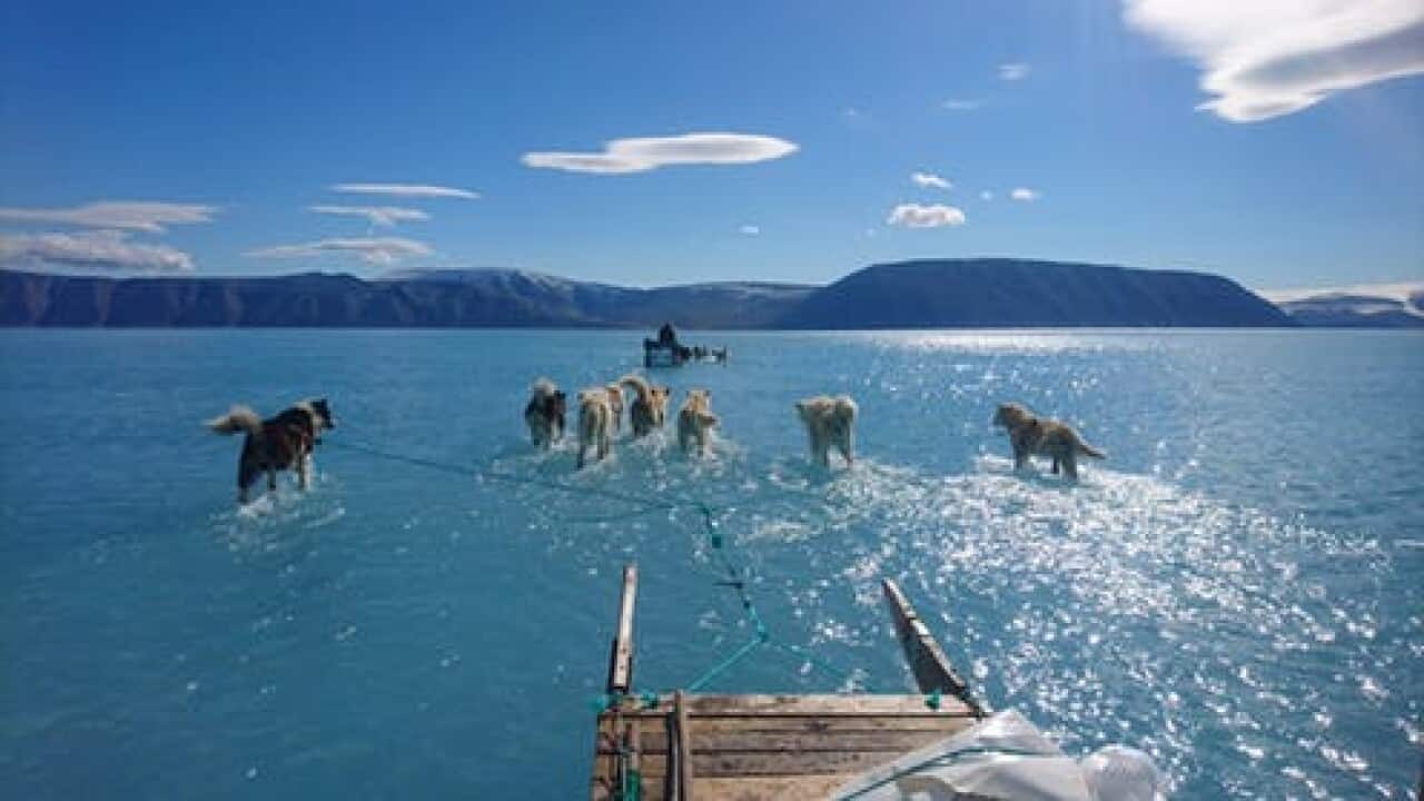 Melting on top of sea ice off northwestern Greenland, June 2019.