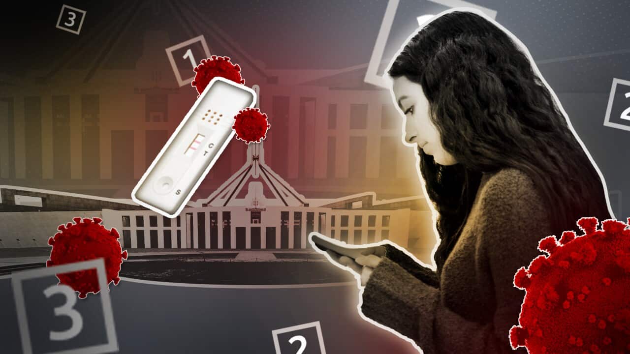 A graphic representing COVID-19 phone voting.