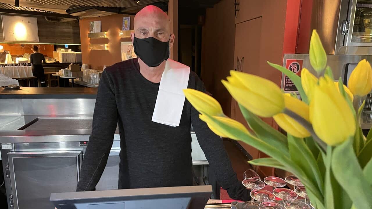 Maurice Terzini, CicciaBella founder