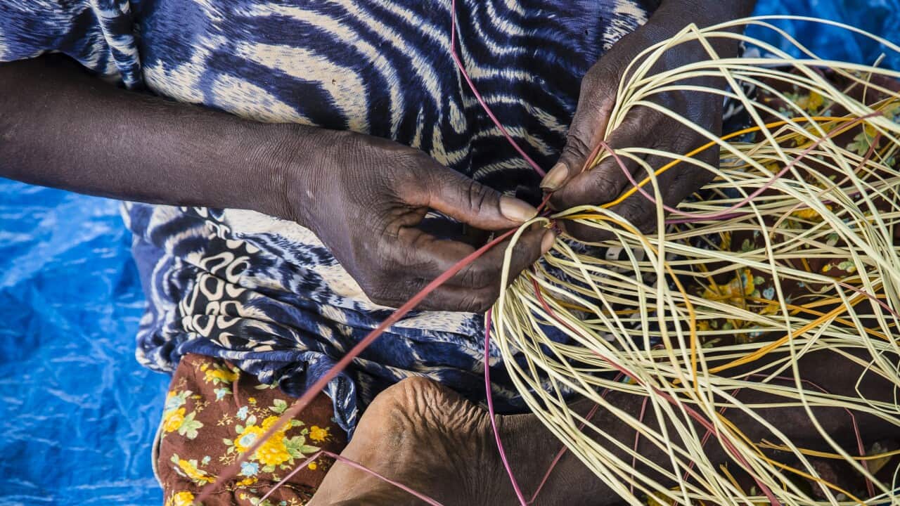 Australia Explained: First Nations weaving - Woman weaving basket with pandanus palm fibre