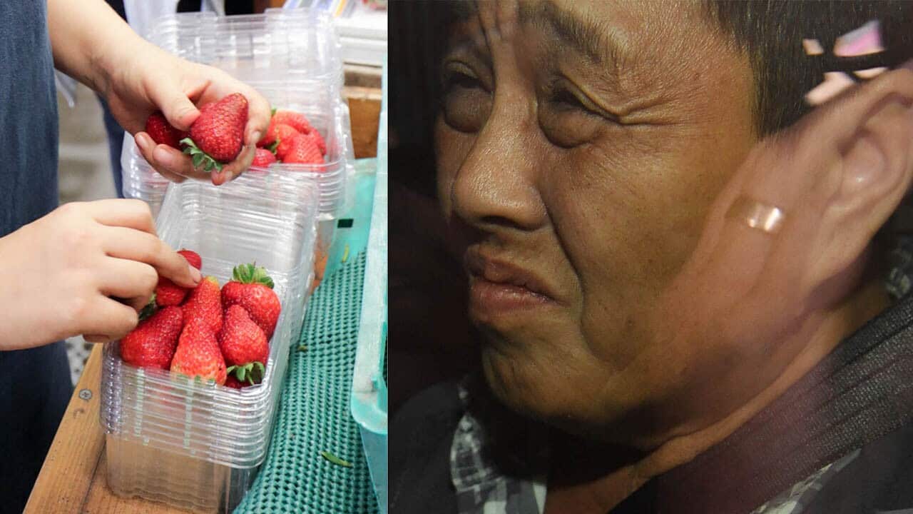 Caboolture woman My Uth Trinh, 50, will face court after being charged over the strawberry contamination crisis