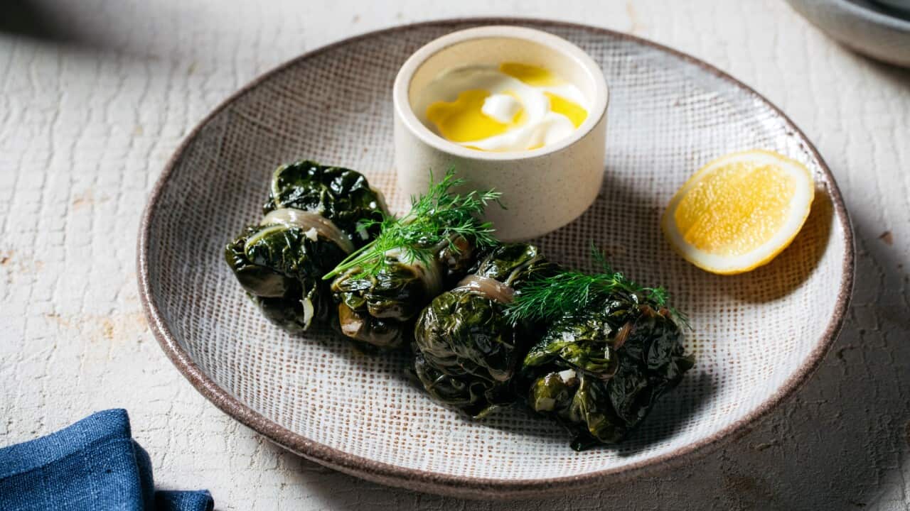Silverbeet dolmades