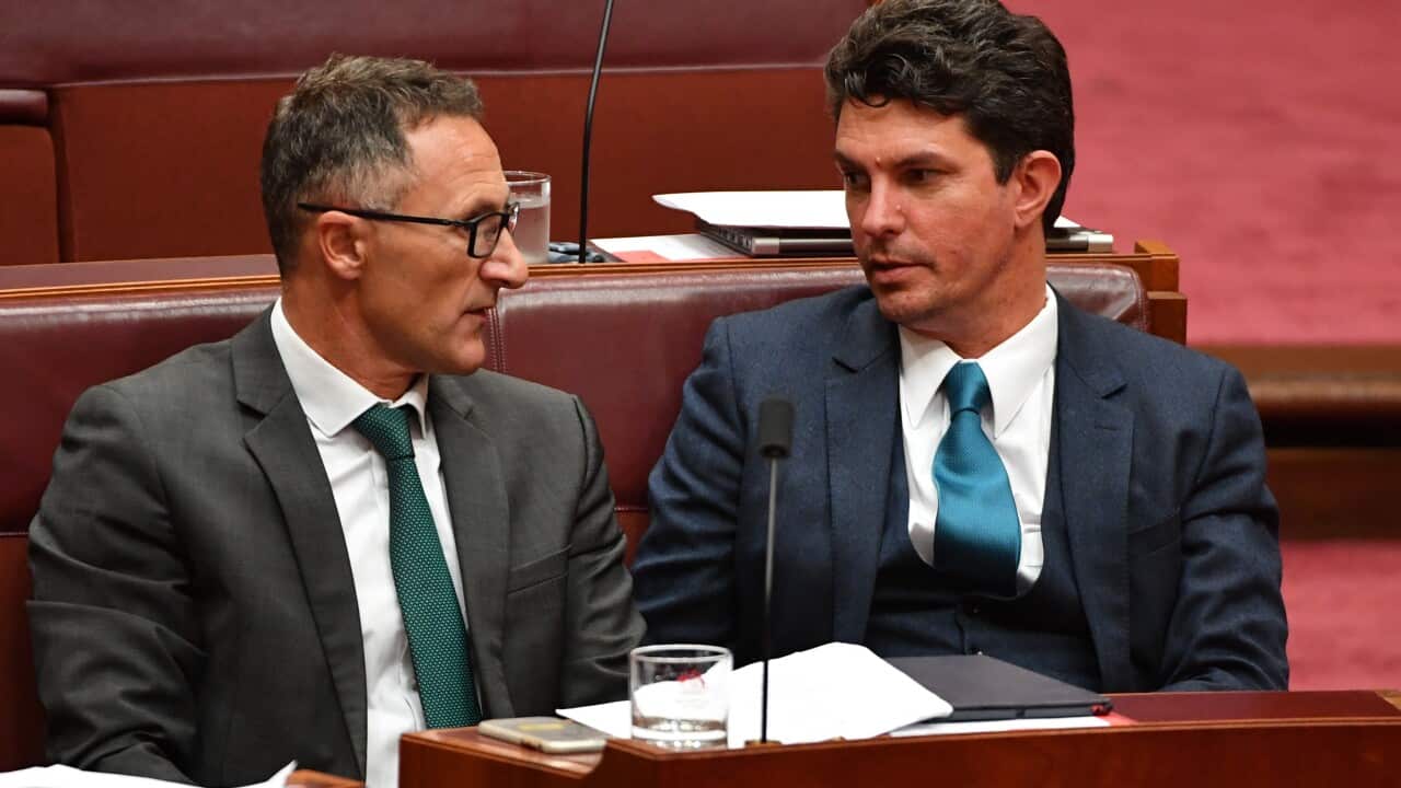 Greens leader Richard Di Natale and Greens Senator