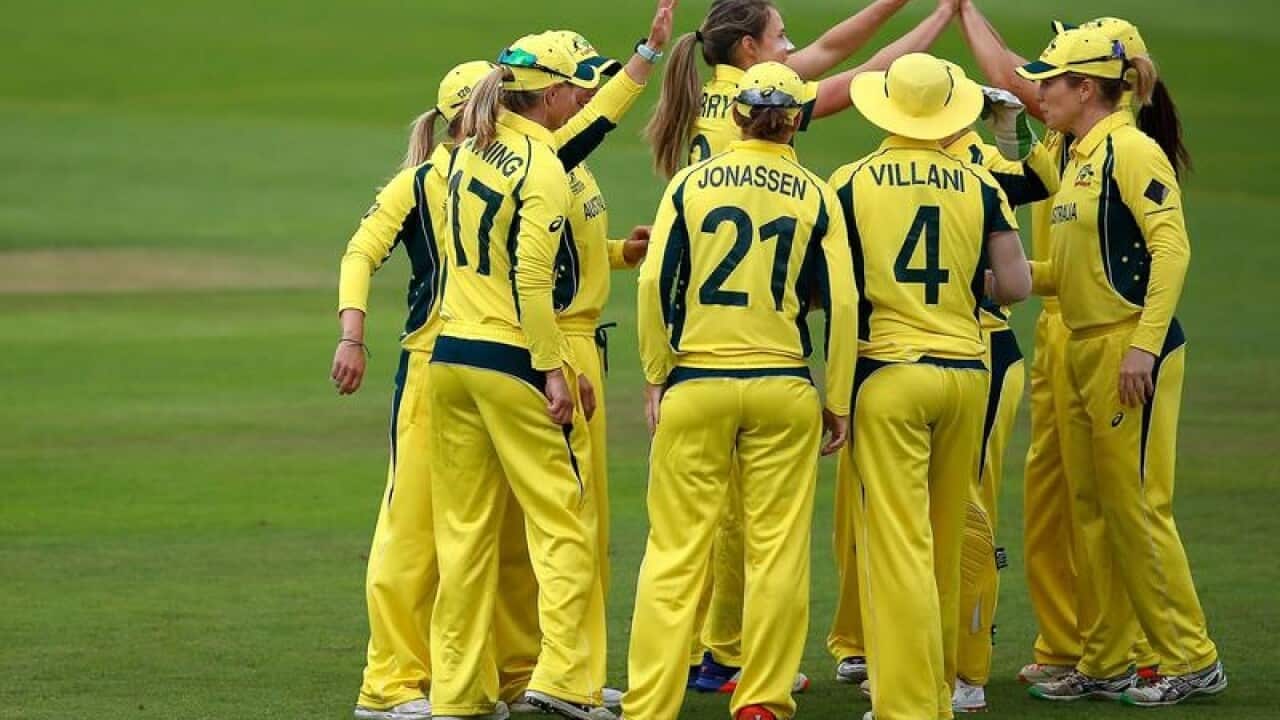 Australian players celebrate after claiming a wicket