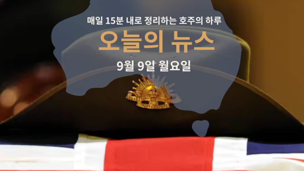 Copy of Daily News photo templet (3).png