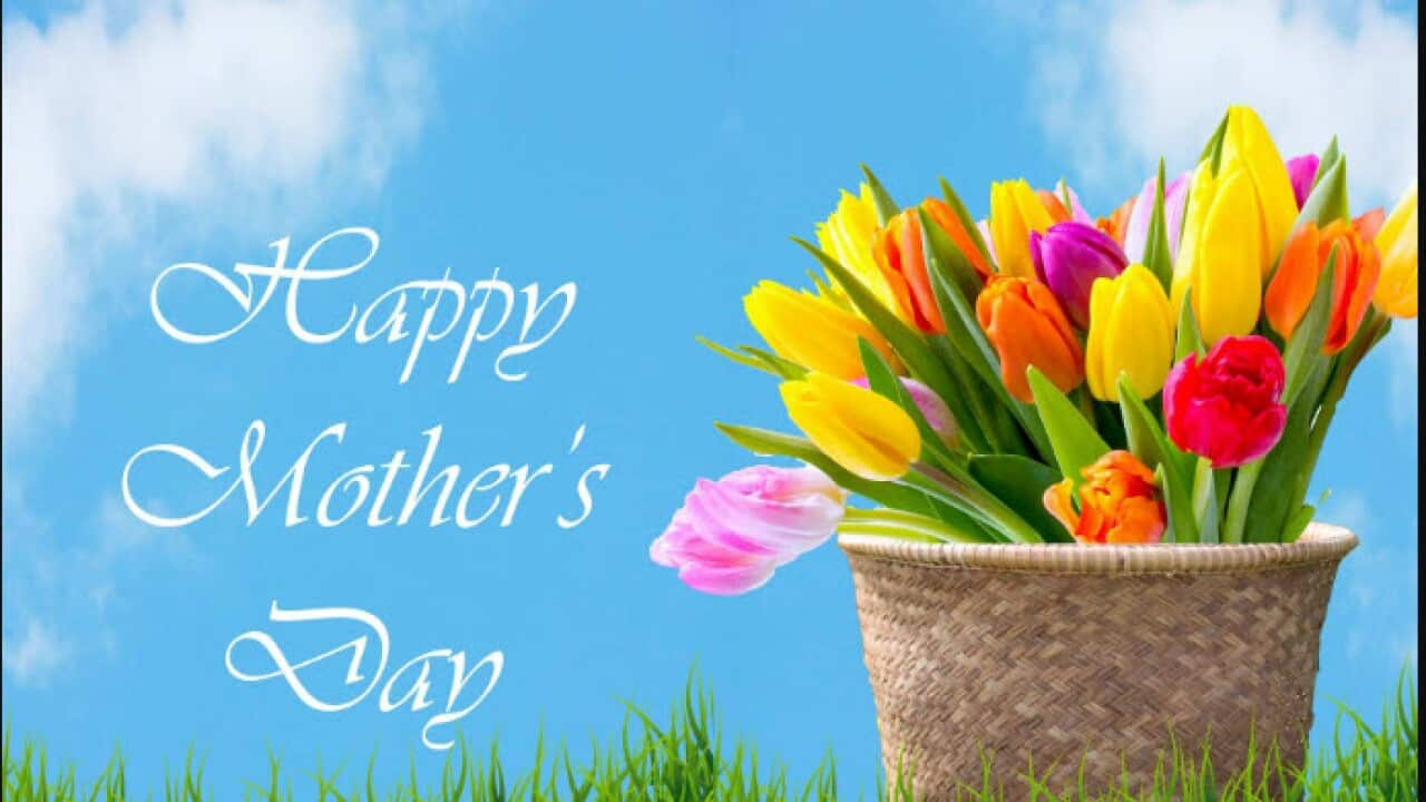 Tulips In Basket Mother's Day Card