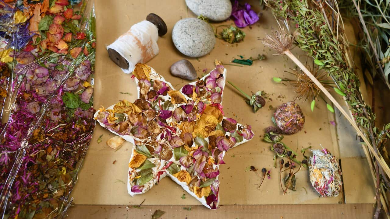 15.01.2026_©Savva 2026_All Rights Reserved_DSC_1348.jpeg