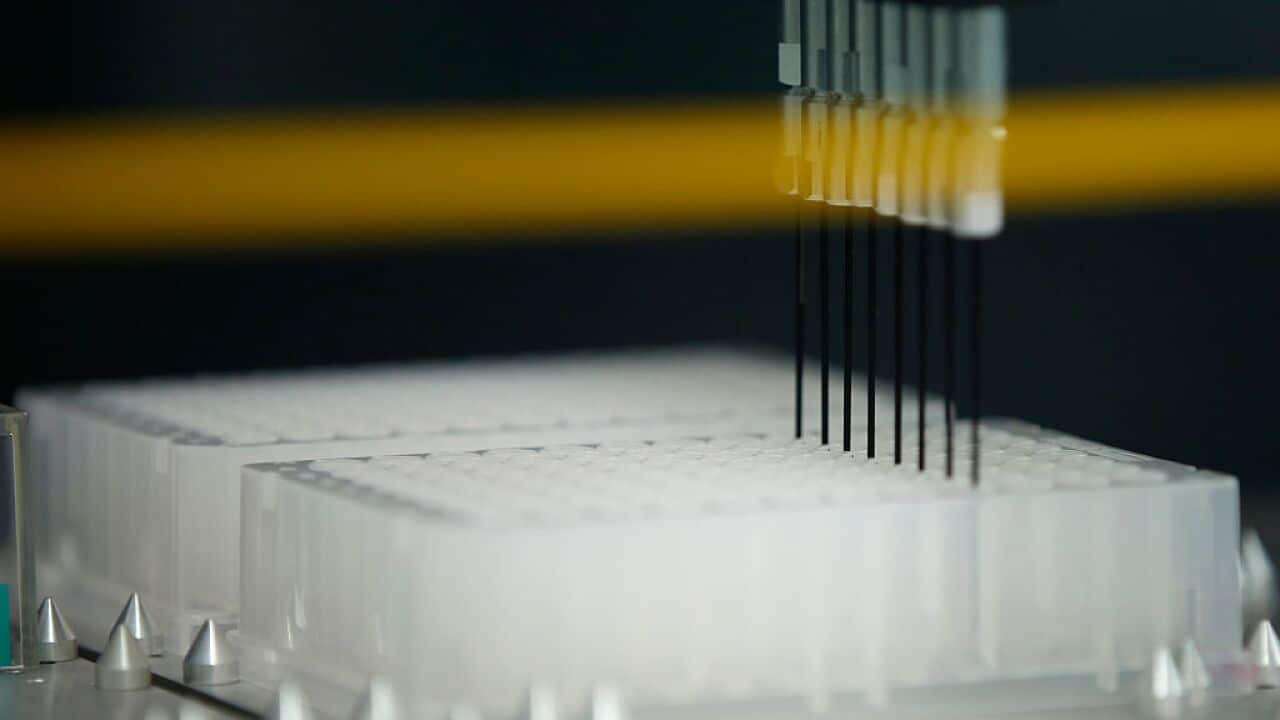 A reagent is added to plates containing genes extracted from customers' saliva for genetic analysis for a direct-to-consumer genetic testing service.