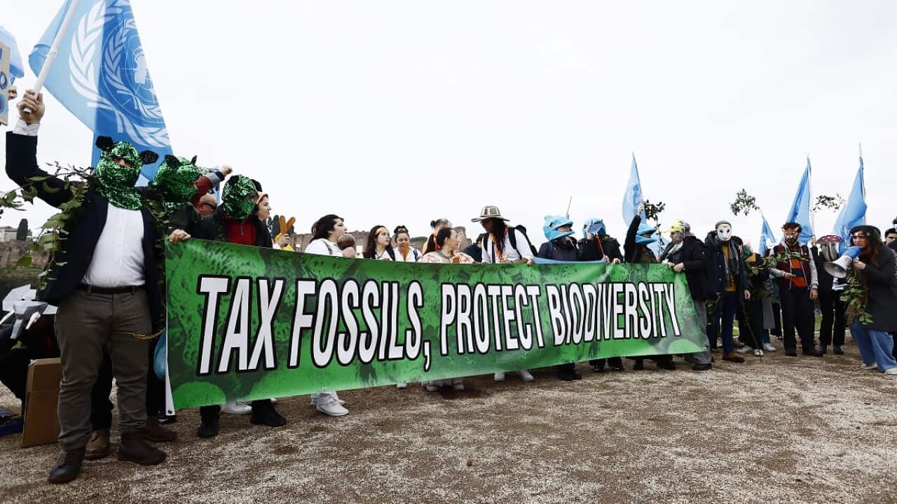 Protesters out the front of biodiversity talks in Rome (AAP).jpg