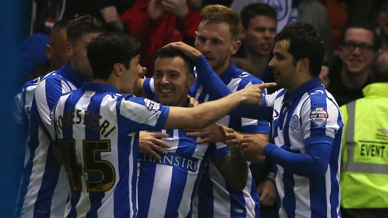 Brighton & Hove Albion Sheffield Wednesday Chris Hughton