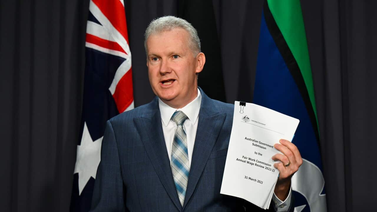 Employment Minister Tony Burke stands at a lecturn holding a document
