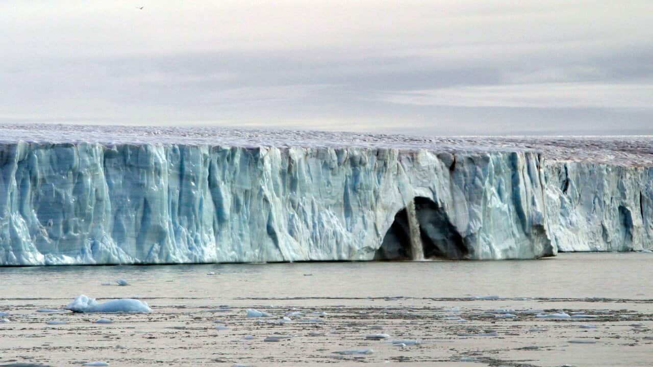 Brasvell Glacier (AAP/Mary Evans/Ardea/M. Watson)