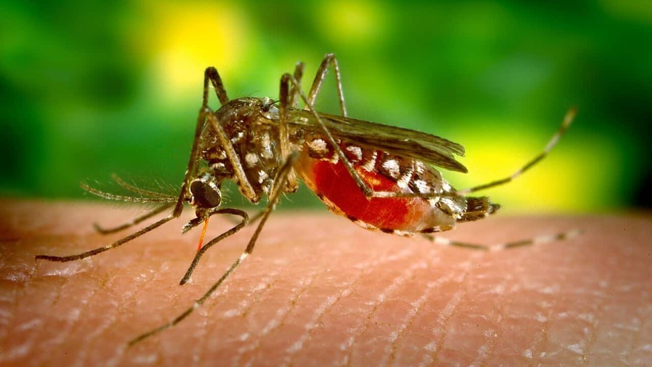 Zika