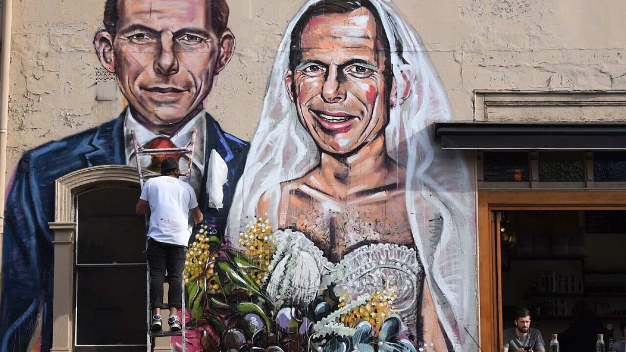 Scott Marsh Tony Abbott mural