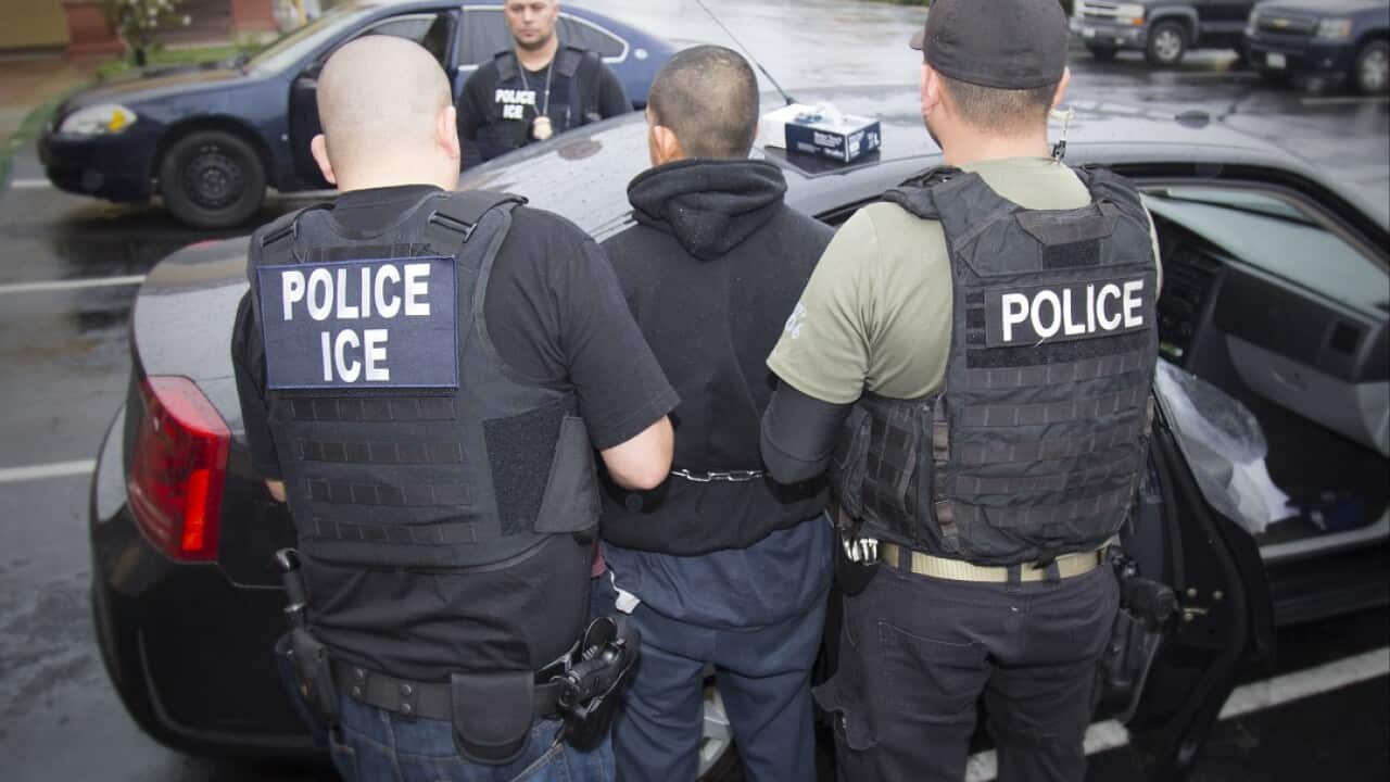 Photo released by U.S. Immigration and Customs Enforcement shows foreign nationals being arrested this week during a targeted enforcement operation, 2017.