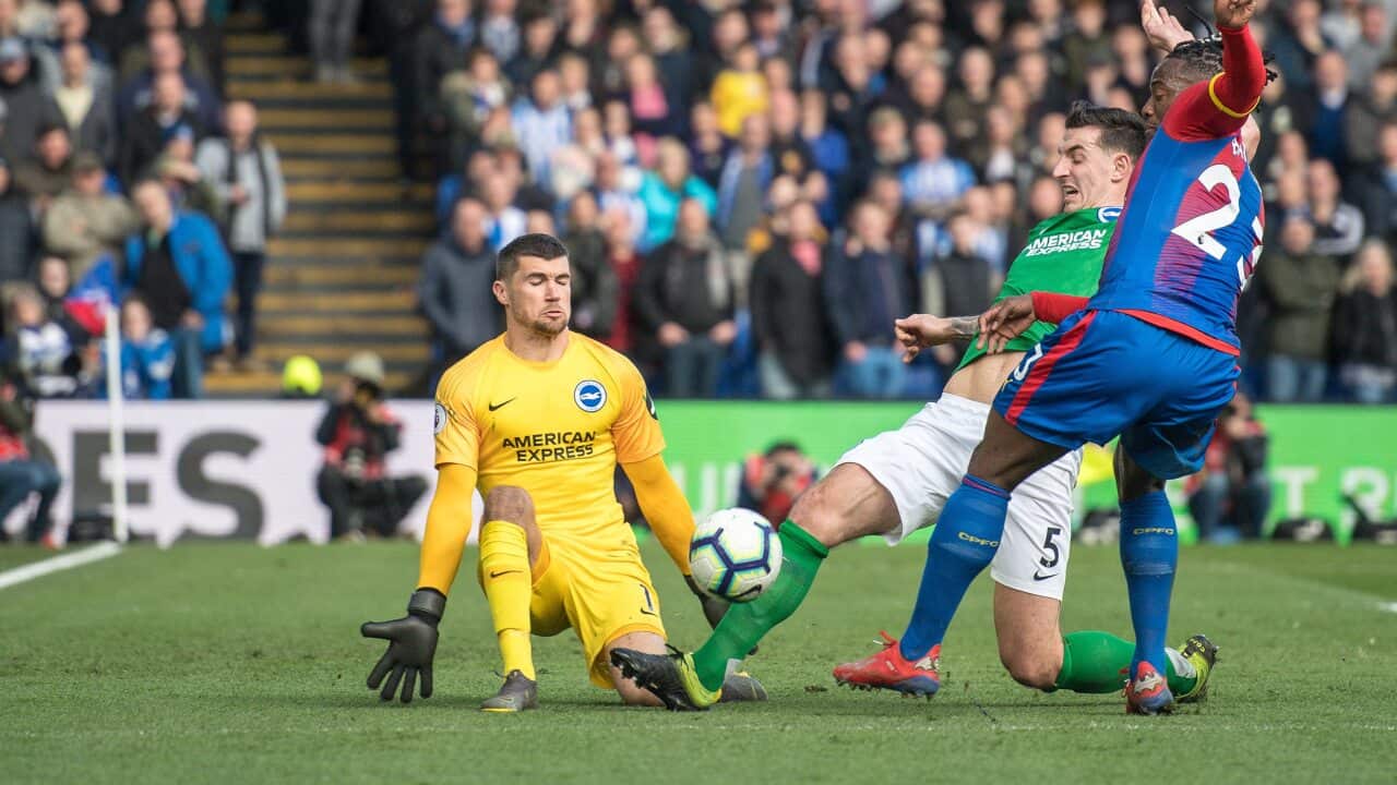 Mat Ryan, Brighton & Hove Albion