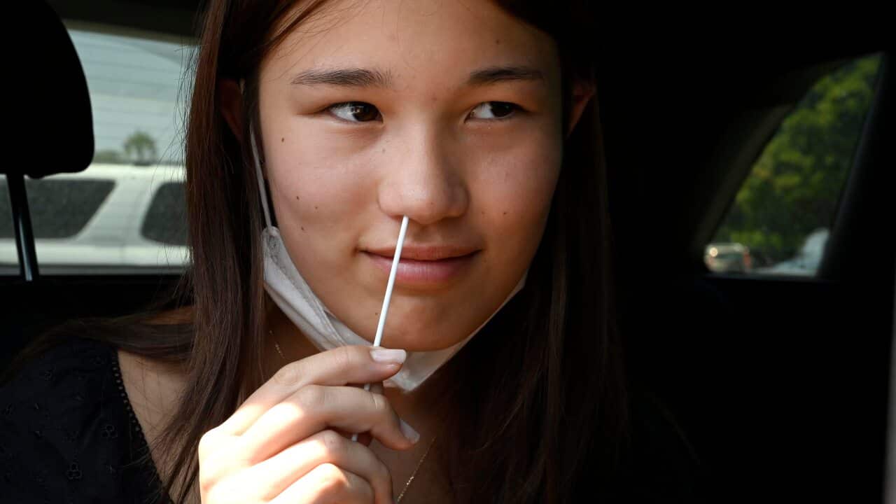 High school student Sophia Brach swabs herself for a rapid COVID-19 test